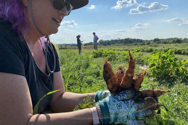 Lisa VanHorn, 39, holds a bunch of carrots she picked in a one-acre plot in Cream Ridge she and others are farming on this year. She was there as a participant in the RU Ready to Farm program.
